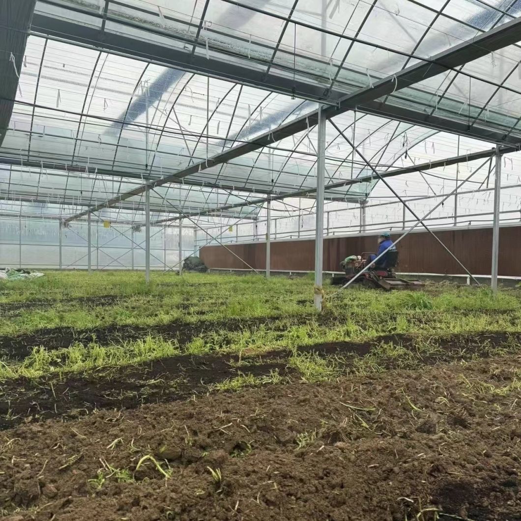 Efficient Water Pipe Agricultural Greenhouse System