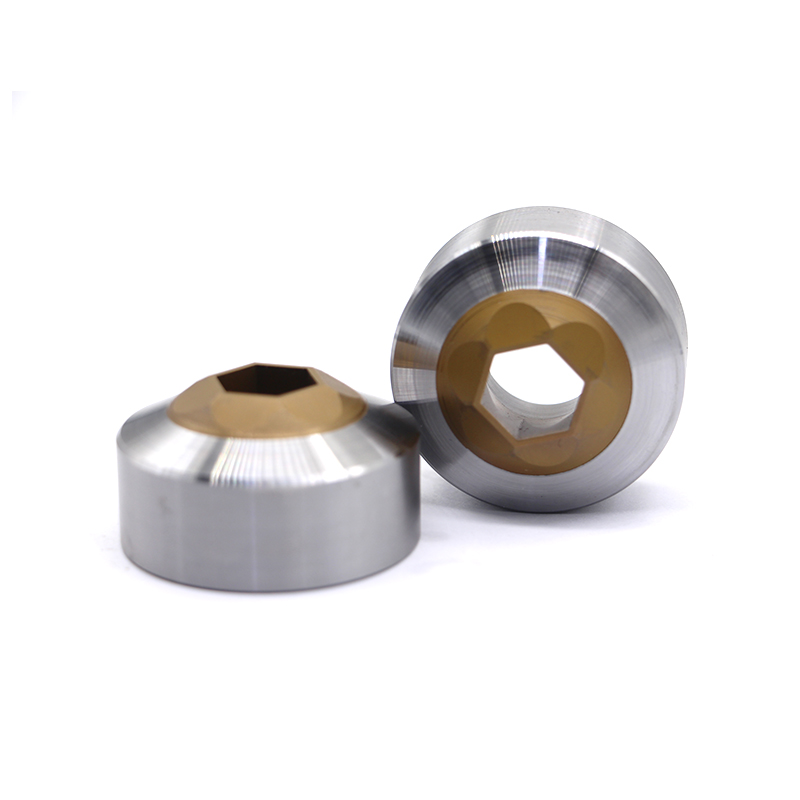 Casting Cold Forging Die