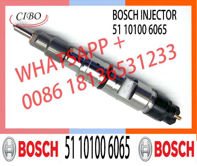 China Made New 0445120098 diesel auto fuel injection 0 445 120 098 for 120 # CRIN2-16 51 10100 6065 Diesel Engine