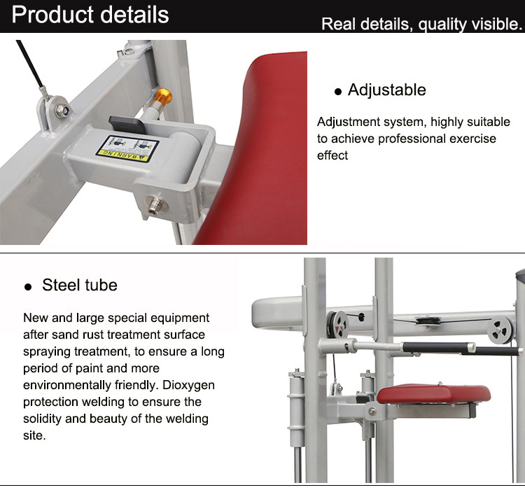 Assisted Dip Chin Strength Training Machine , Professional Matrix Bodybuilding Equipment