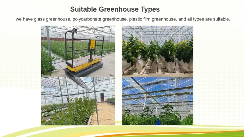 Anti Reflective Automatic Venlo Glass Greenhouse With Agricultural Farming Systems