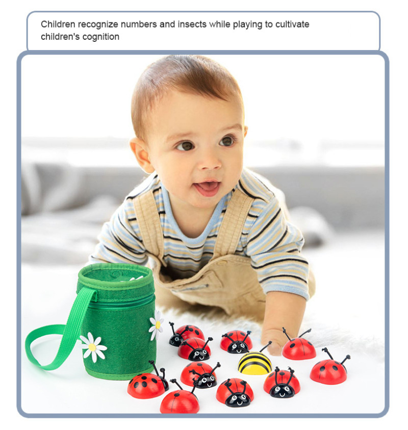 Nontoxic Wooden Montessori Mathematical Toys For Toddlers