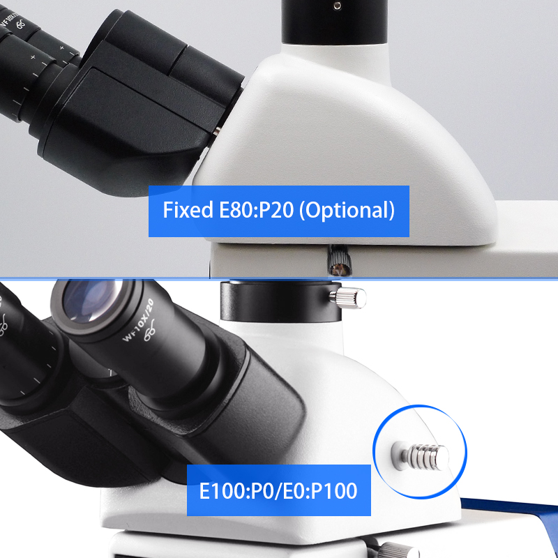 Polarizing Microscope Transmitting Light