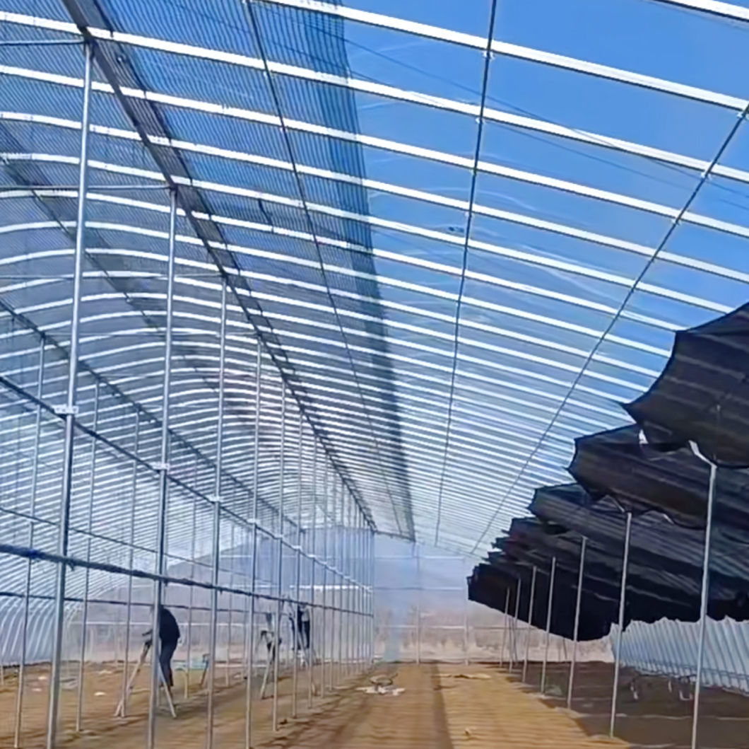 Innovative Agriculture Arches Tunnel Greenhouse