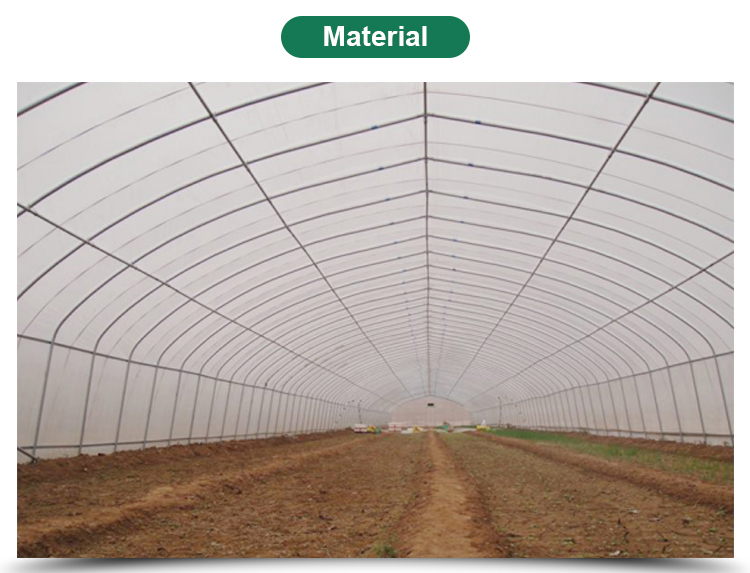 Mini Greenhouse Galvanized Garden Greenhouses for Commercial Vegetable Growing