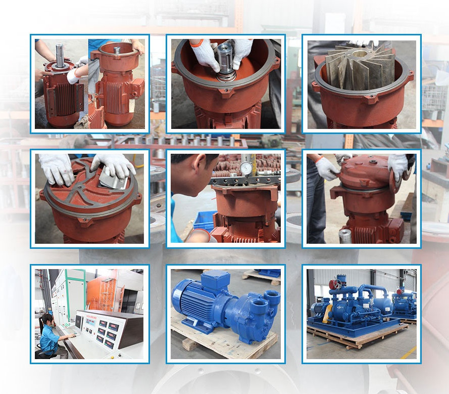 Stainless Steel Water Ring Vacuum Pump Direct Coupled With Explosion - Proof Motor