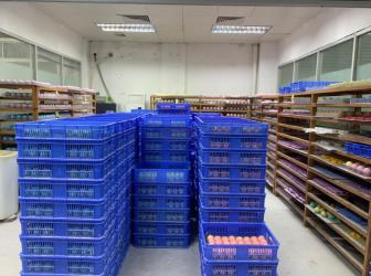 Guangzhou Weddells Technology Co., Ltd
