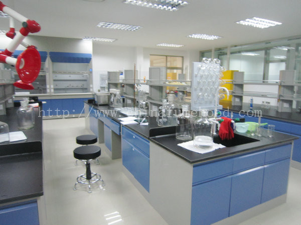 Educational Steel Lab Furniture , Instrument School Lab Furniture With Sink