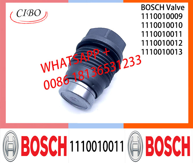 Pressure relief valve 1110010011 1110010010 1110010018 1110010019 1110010014 1110010015