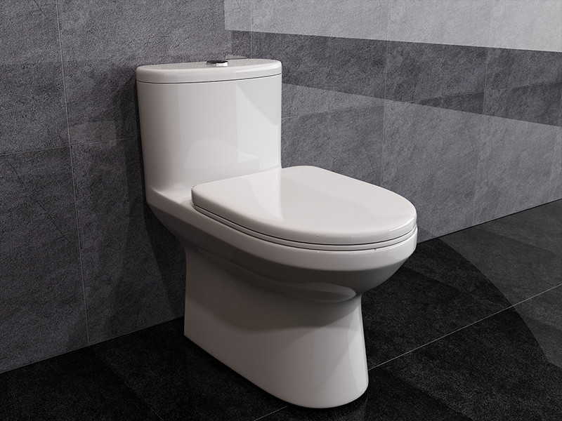 ARROW Washdown 1 One Piece Round Toilet Dual Flush Comfort Height