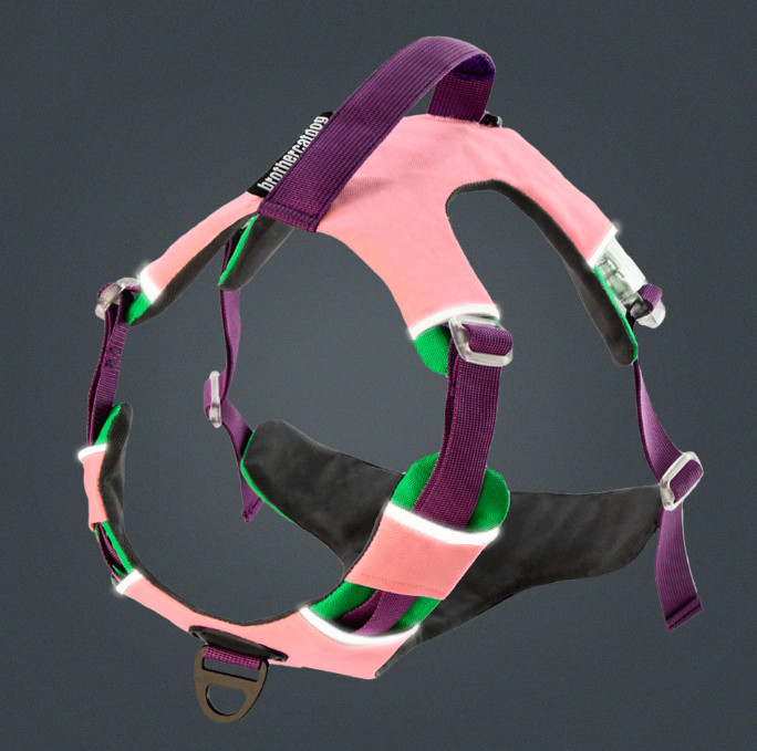 dog harness