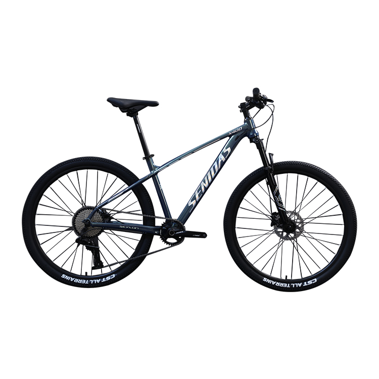 27.5 29 Bicycle Marlin 10 Speed Customized Adult Mountain Bike with and Ordinary Pedal