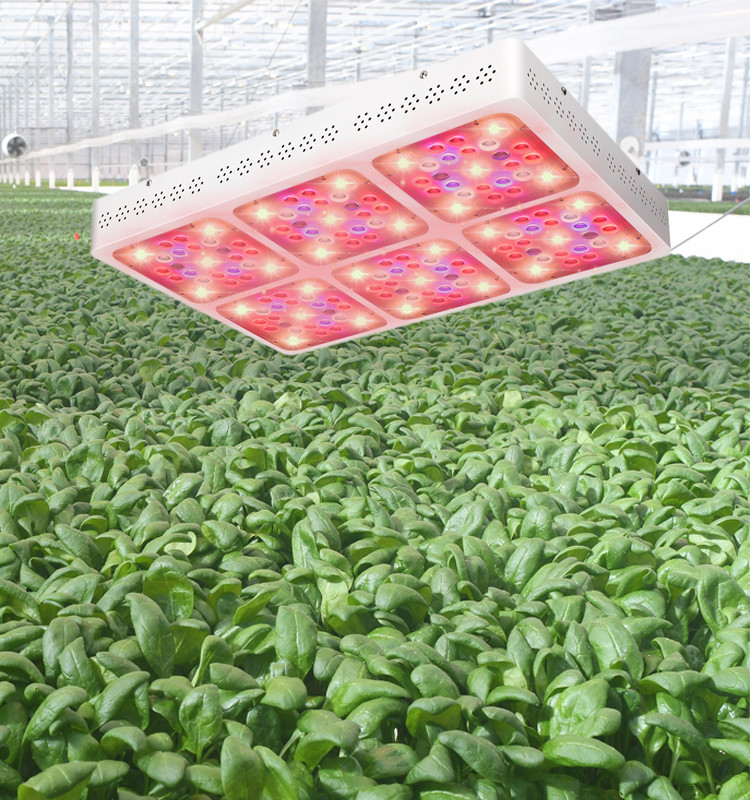C600 Cree EPI 780μmol/s 850mA 600W COB LED Grow Light