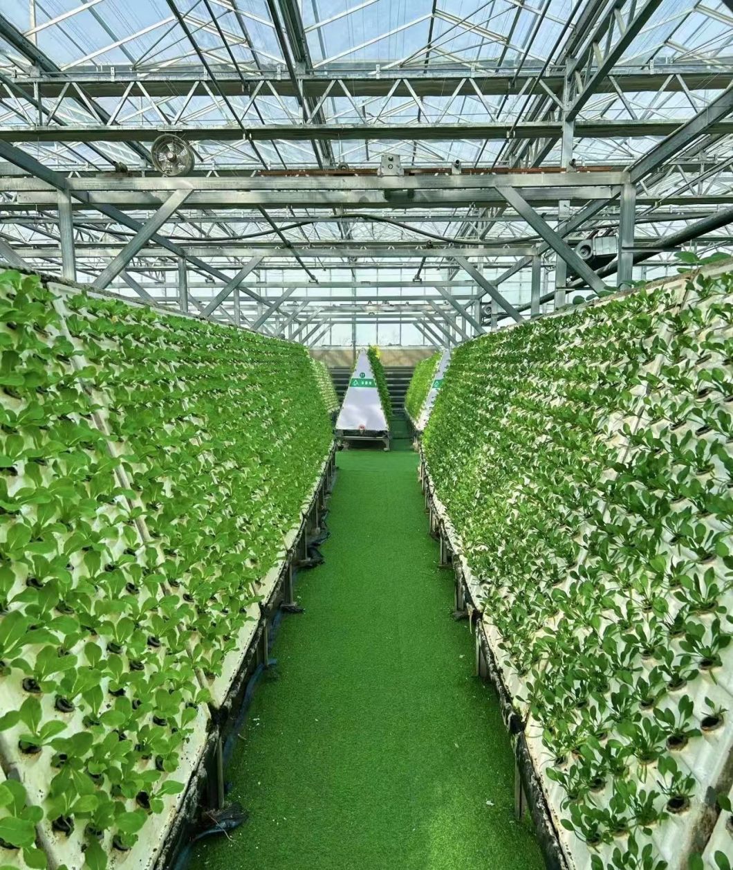 Reasonably Priced Glass Greenhouse with Hydroponics