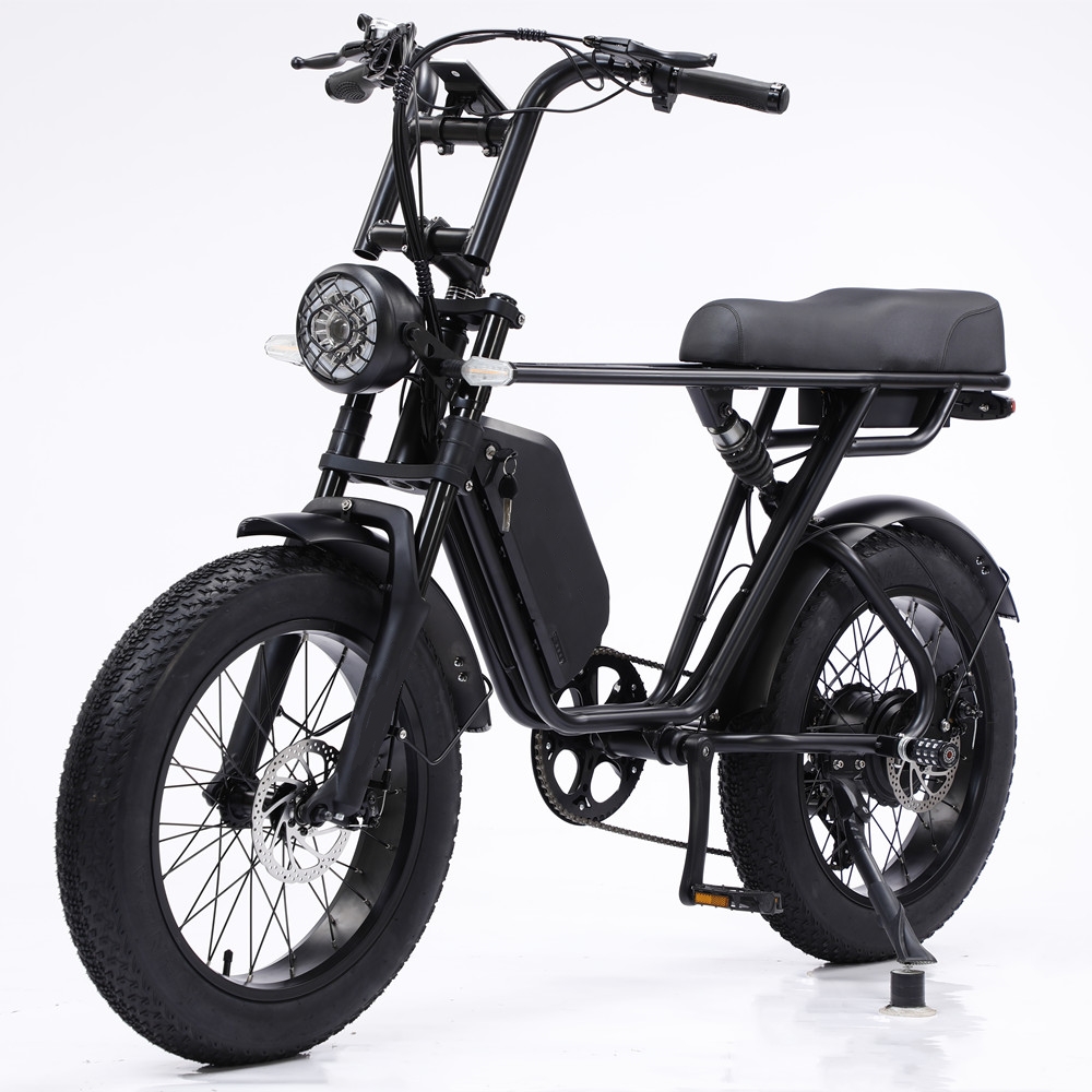 48V 750W Motor Electric Hybrid Bike Full Suspension 20 Inch Fat Tire Ebike 17Ah Battery