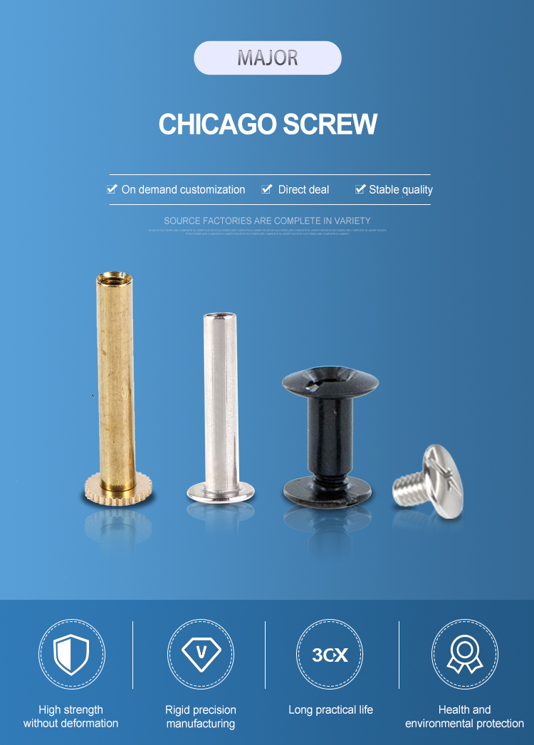 ISO9001 2015 Mini Chicago Screw M3 M4 M5 M6 M8 Flat Round Slotted Blind Head Male Female Screw