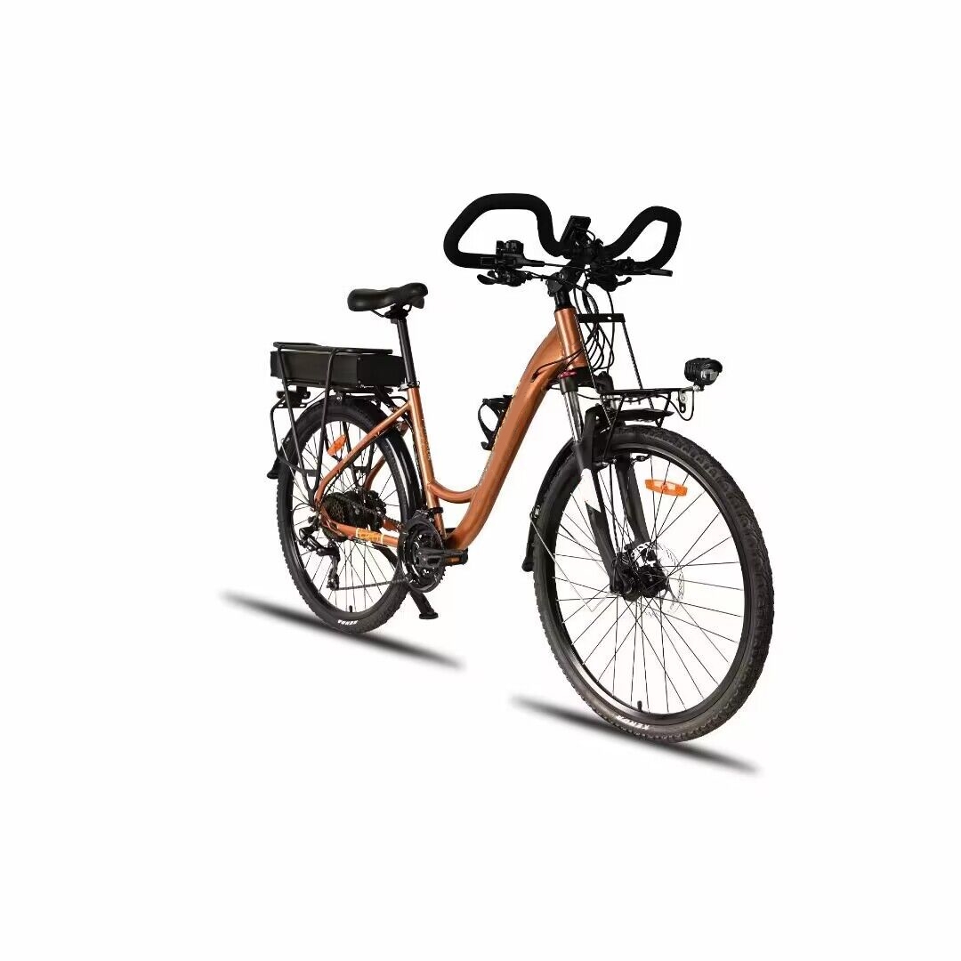 Lithium Battery 700C Electric City Bike 24 Speed 250W Low Step Through Electric Bike