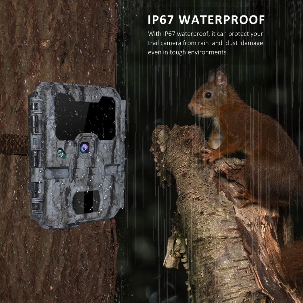 Programmable WIFI Hidden Wildlife Camera 24MP With LCD Display