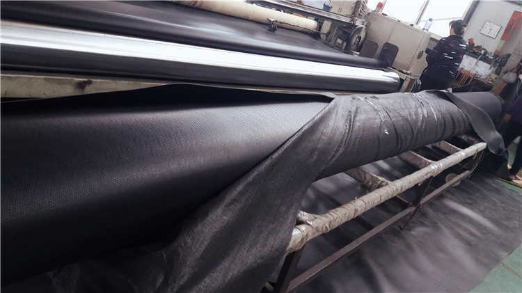 Anti-Seepage Function Black HDPE Geomembrane Waterproof Board for Blow Molding Production