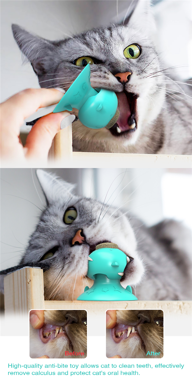 Hot Selling Custom Pet Chew Toys Cat Toys Teeth Cleaning Multifunction Catnip Toys