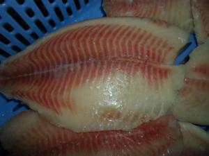 Buy cheap Thailand Origin Fresh Frozen Seafood / Bulk Frozen Fish Tilapia Fillet product
