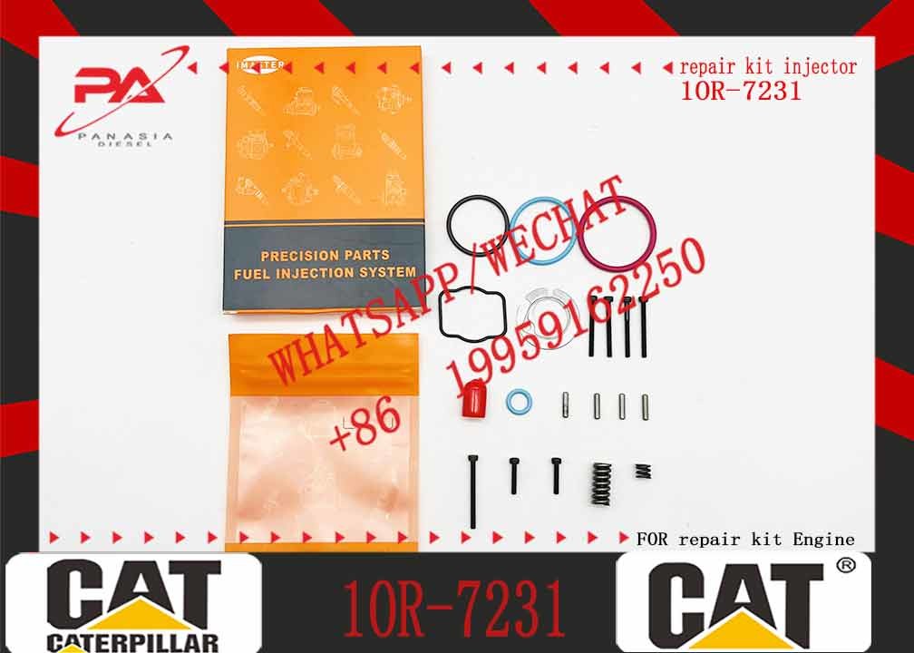 Cat Engine Parts 10r-3262 C11 C13 Fuel Injector 2490713 249-0713 For Caterpillar C13