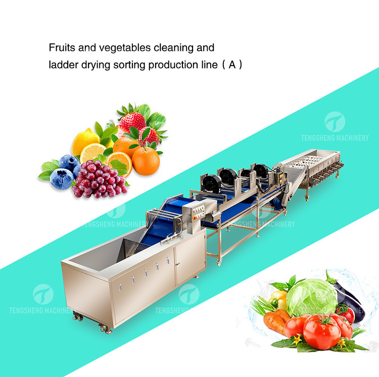 Drying Sorting Circulating Surfing Fruit And Vegetable Processing Line Apple Tengsheng