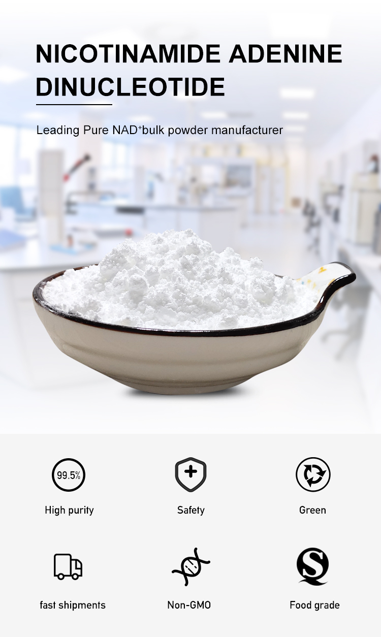 CAS 53-84-9 Bulk Powder NAD Supplement With EINECS No. 200-184-4