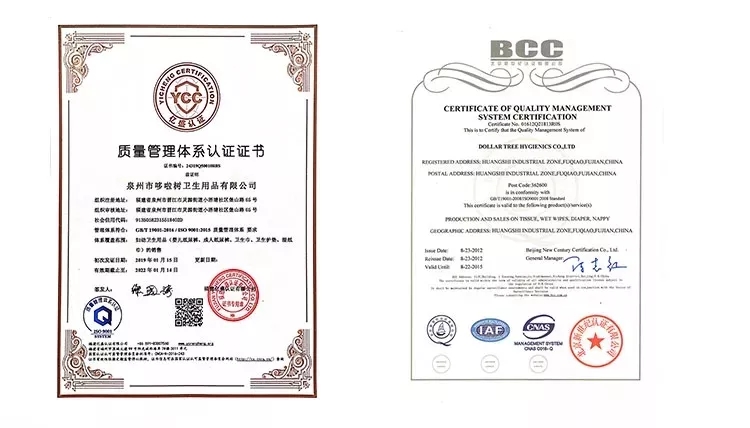 99.99% Sterilization Medical Wet Wipes Disinfectant Alcohol-Free for Baby Care 100PCS
