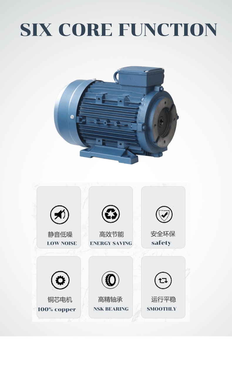 hydraulic motor