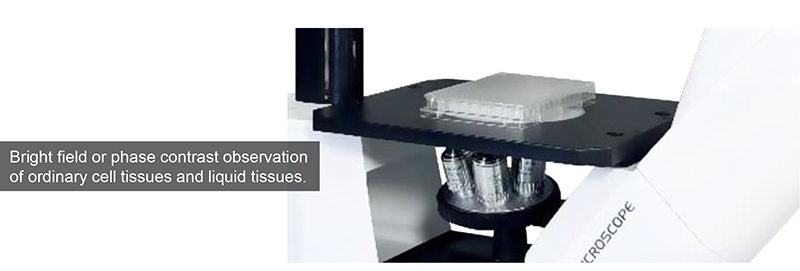 Opto-Edu A14.2604 Inverted Optical Trinocular Phase Contrast Cell Factory Microscope