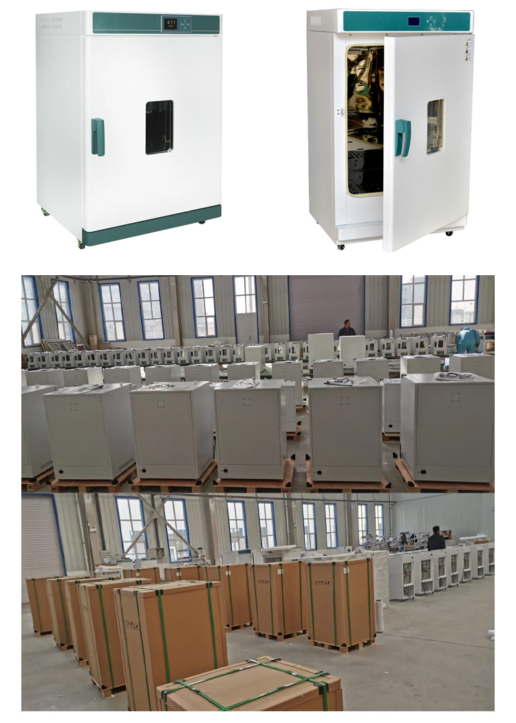 Electric Blast Drying Oven for Laboratory Fruit Drying Electrostatic Spraying Coating