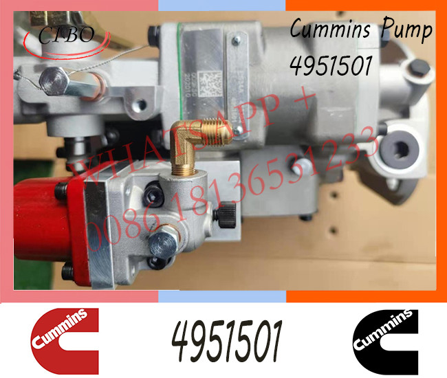 Diesel Engine Parts Fuel Injection Pump 4951501 3019487 560659 3019488 For Cummins NT855 NTA855