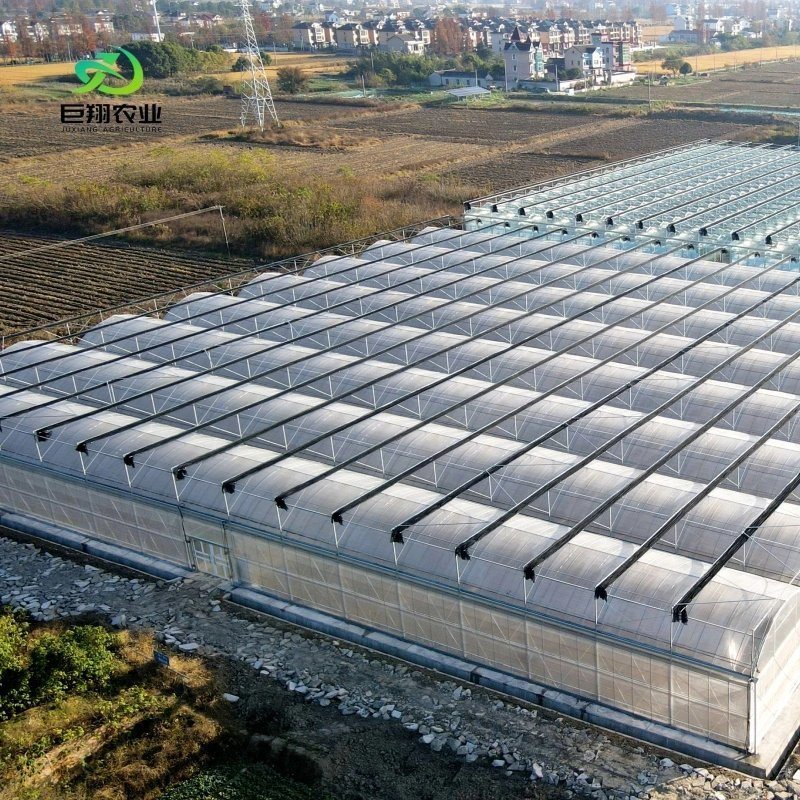 Innovative Agriculture Arches Tunnel Greenhouse
