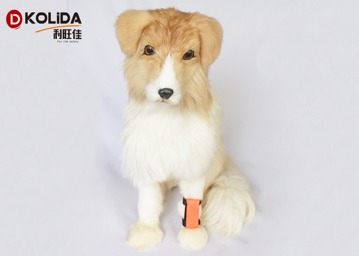 Weather Resistant Nylon LED Flashing Dog Night Light Attacher Pet Protect Collars