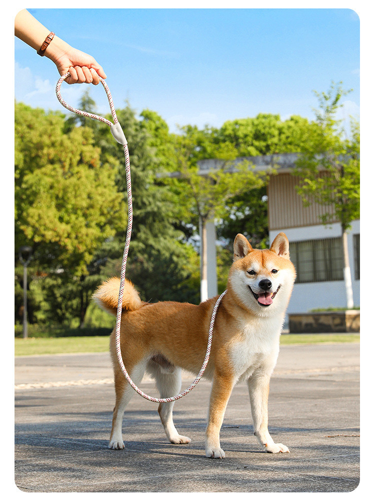 Pets Nylon Sturdy And durable Leash High Quality Traction Rope For Dog And Cat