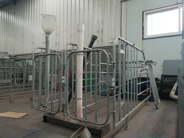 Professional Pig Gestation Stalls , Swine Gestation Cages Alkali Reistance