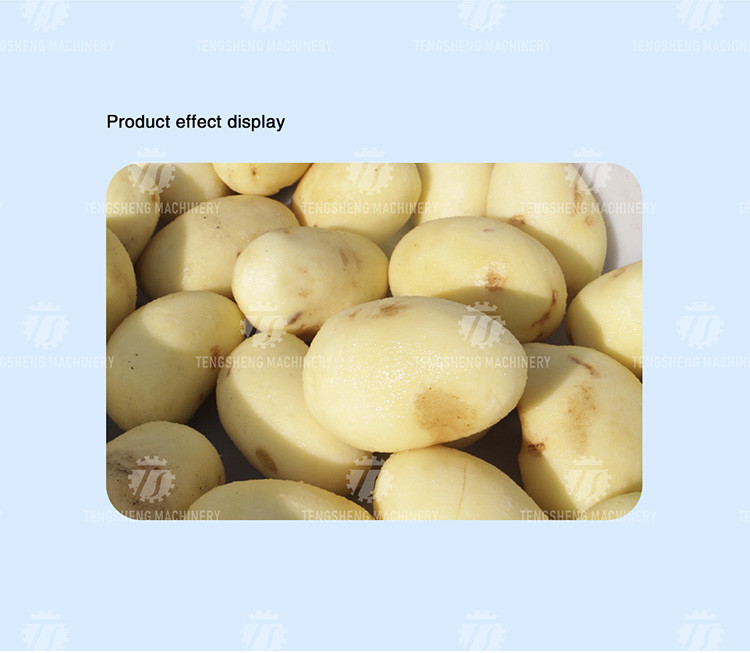 1.5kw Commercial Food Processor Machine Automatic Electric Potato Peeler