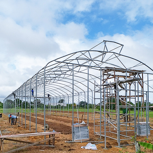 Large Diameter Frame Heavy Duty Greenhouse With Anti Wind Design Easy Installation
