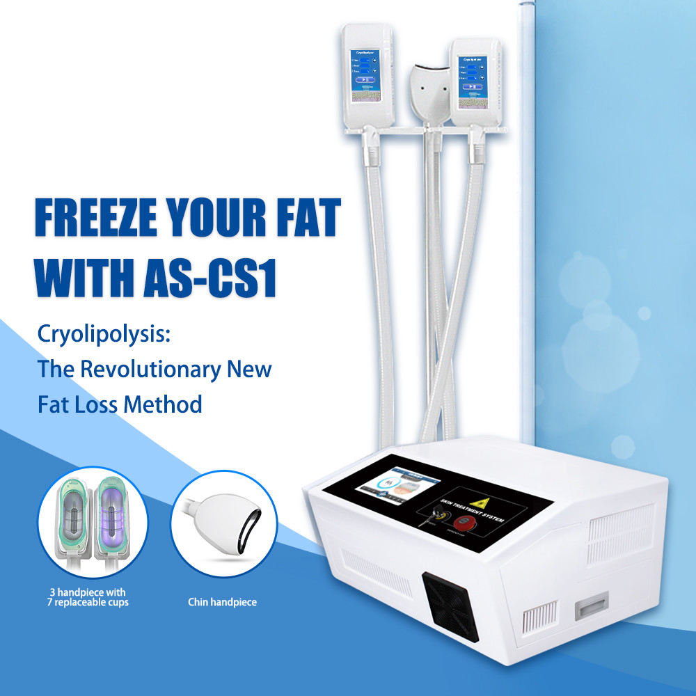 Best 360 Fat Freezing Cryolipolisis Slimming Machine For Salon Personal Care