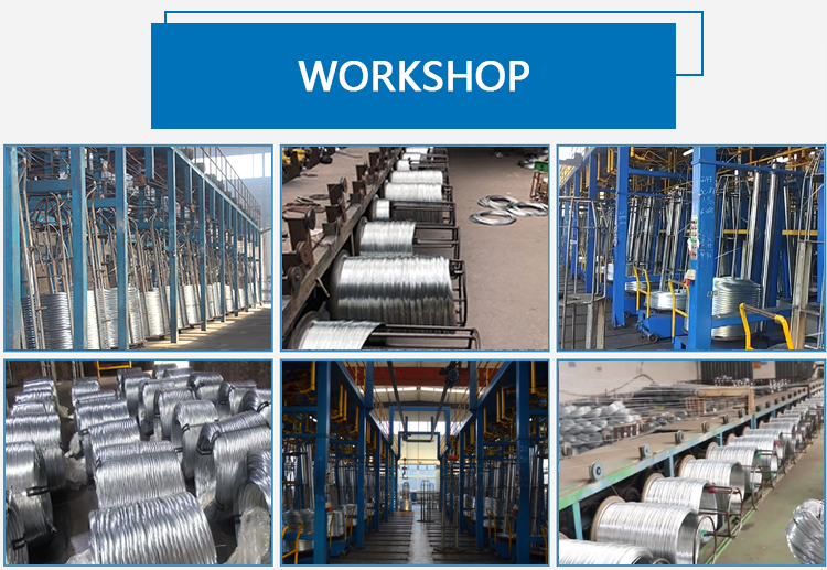 BWG8-BWG22 Electro Galvanized Binding Wire