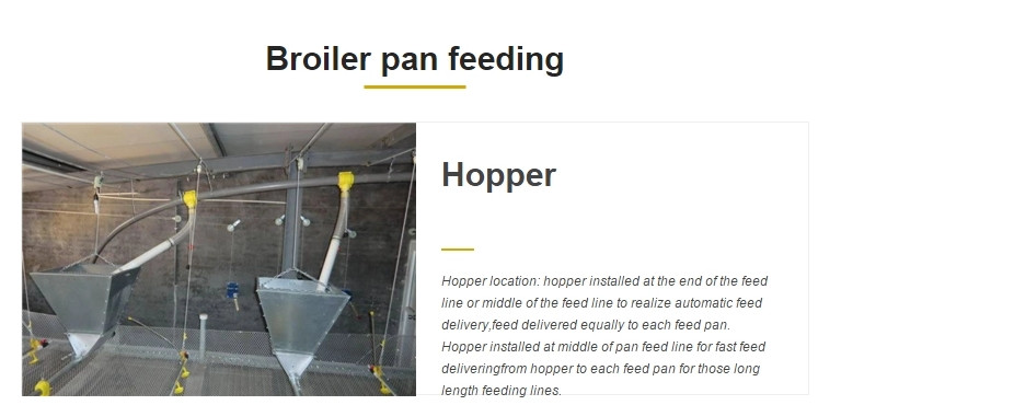 Poultry Farming Equipment Broiler Automatic Pan Feeding System 330mm
