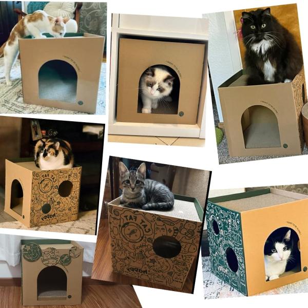 Customized Christmas Cat Playhouse with Scratcher Eco-Friendly Corrugated Paper Indoor Cat House for Pets & Dogs