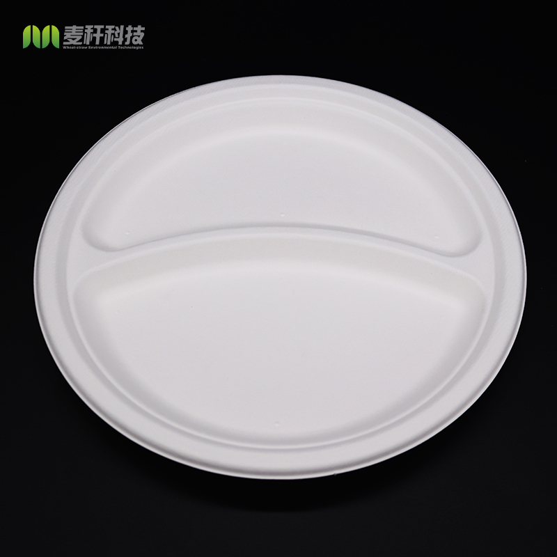 2022 FREE PLASTIC biodegradable disposable sugarcane bagasse Food fruit trays