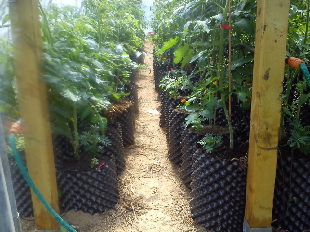 Root Control pot Pruning Container Plant Pot from Gold Seller which do Transplant well.