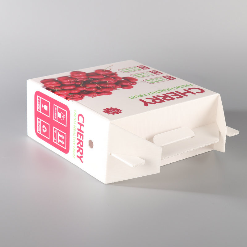 Eco White Plastic Turnover Box PP Hollow Plastic Corrugated Box Fruit Gift Moving Carton