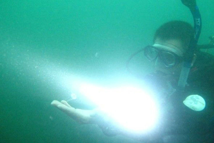 C66 High bright rechargeable Q5 LED diving flashlight