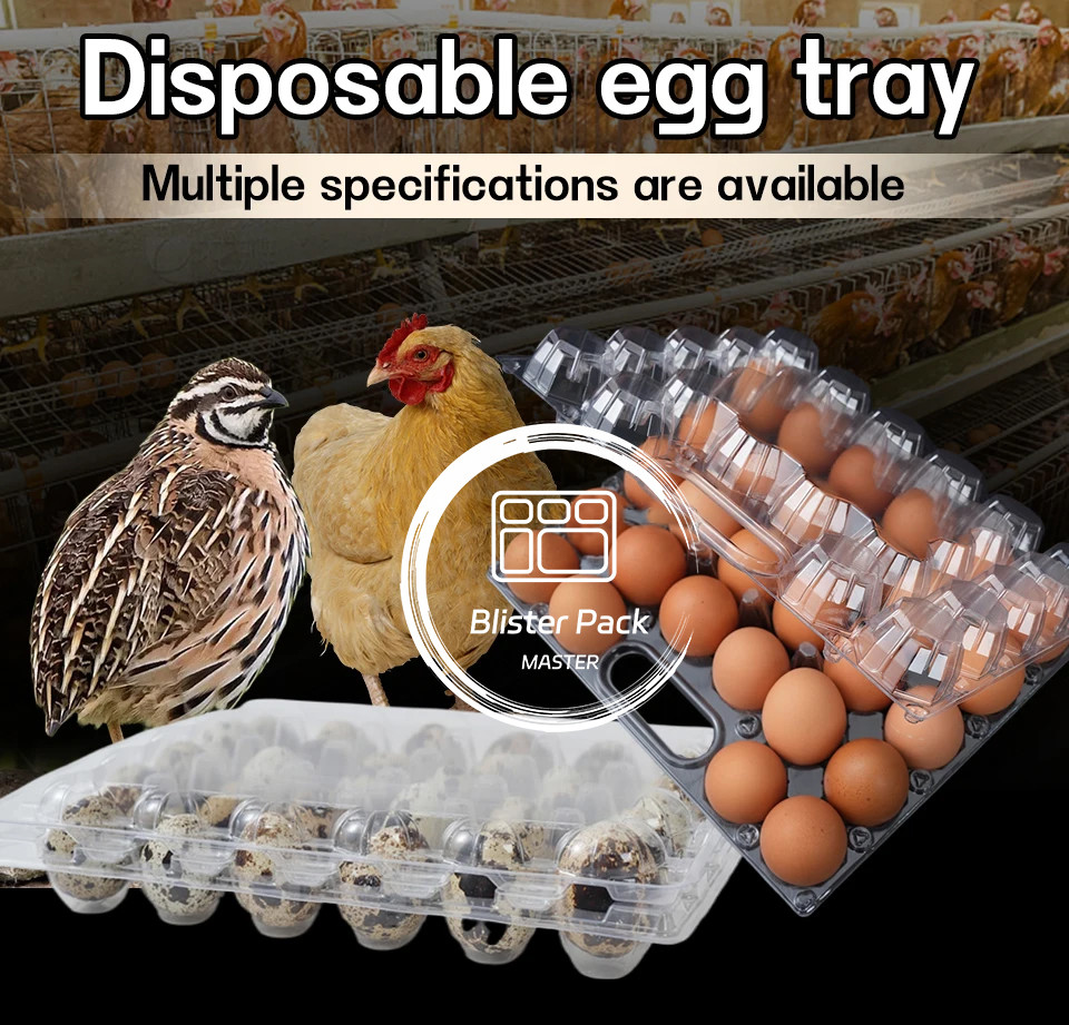 28 Hole Thermoformed Custom Clear PET Plastic Transparent Egg Blister Tray For Chicken Eggs