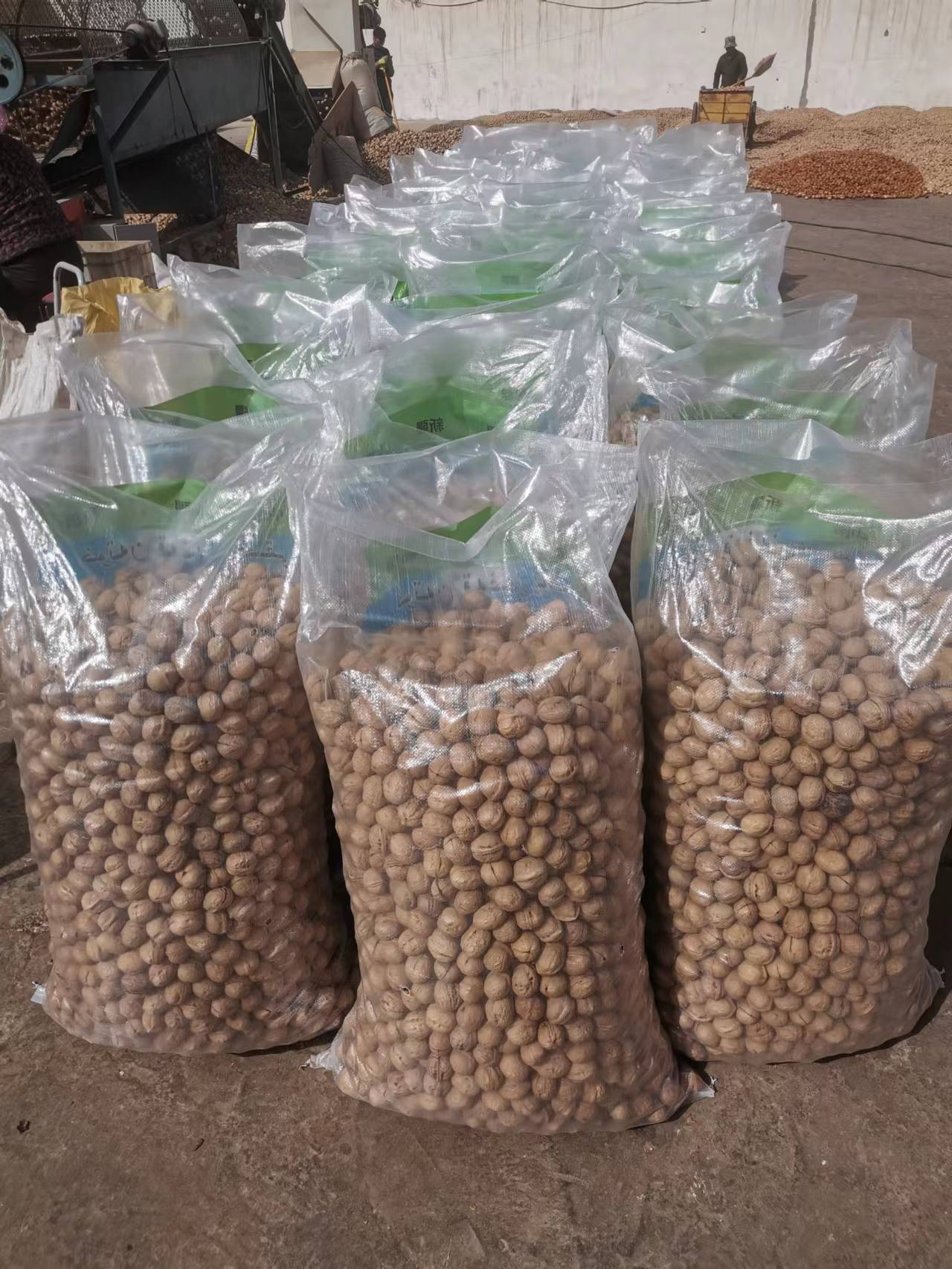 China Li Niu Niu Food Factory wholesale Top Quality Export Walnut Best Price Raw Dry Fruits Washed Walnuts
