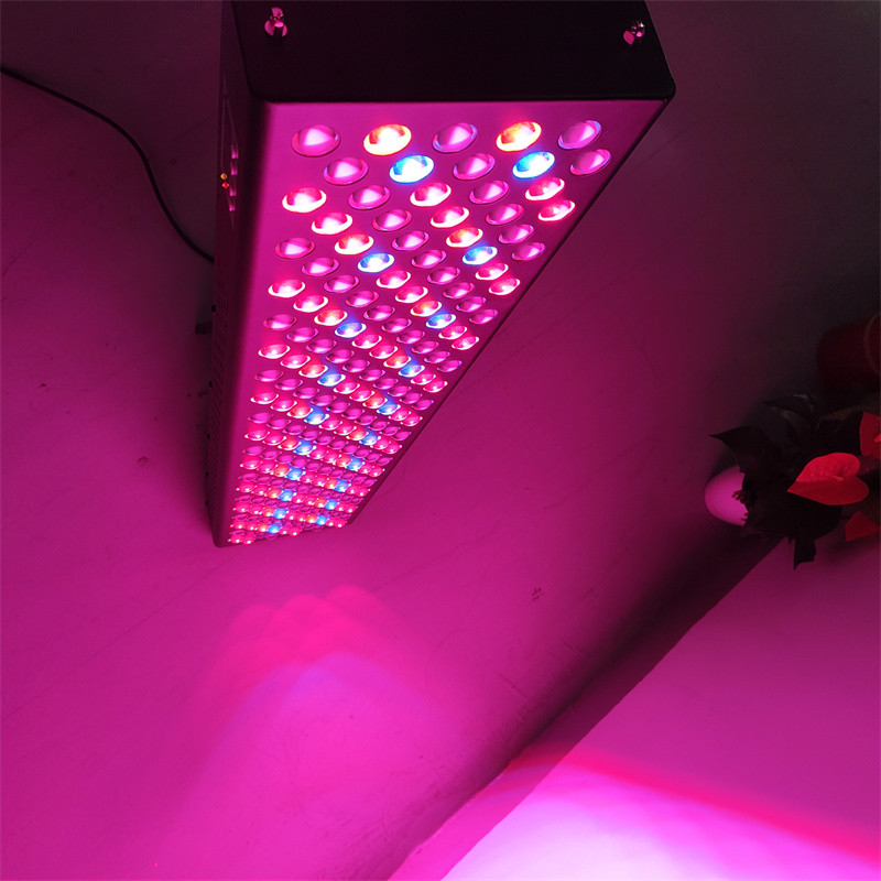 OEM/ODM High Efficiency 7 Wavelengths 480/630/660/670/810/830/850 Infrared Device
